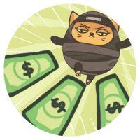 Ninja Cat