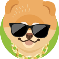 DOGESTYLE