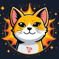 SUNCAT TOKEN