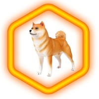 PET INU