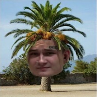PALMCOIN
