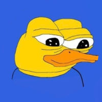 Ducker Coin