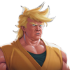 GOKU TRUMP