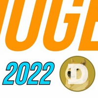 New Year New Doge
