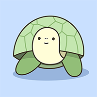 Summer TURT