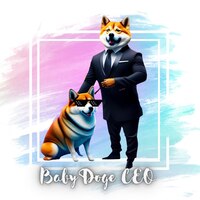 BABYDOGECEO