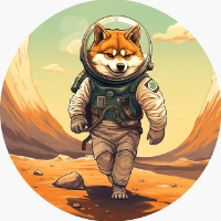 GalaxyShiba