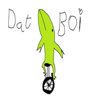 DATBOI