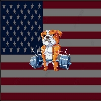 American Bulldog