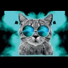Cat wif sunglasses