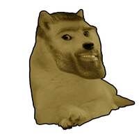 Chad Doge