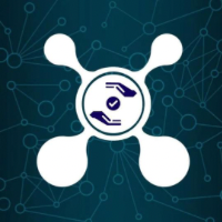 TXN NETWORK