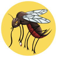 Mosquito