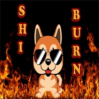 ShiBurn
