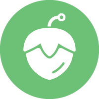Hazel Token