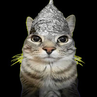 TIN HAT CAT