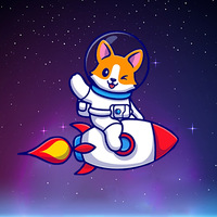 Nauty Shib
