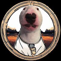 DogWalter