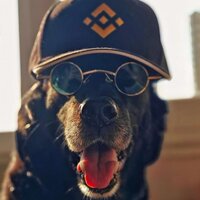 Binance Dogs