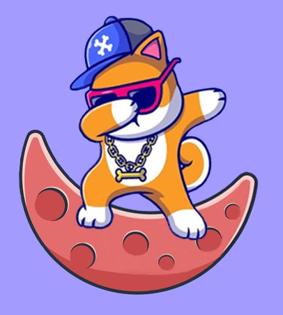 Baby Moon Doge