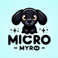 Micro Myro