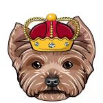 DogeEmperor