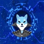MEGAMIND SHIBA