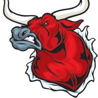 SavageBulls