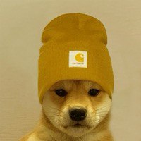 $BEANIE