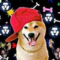 Shiba Crazy Cronos CRO