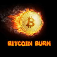 Bitcoin burn 🔥❤️‍🔥