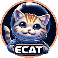 ELON CAT FINANCE