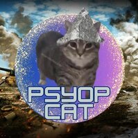 Psyop Cat