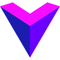 VoxelXNetwork