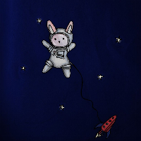 SPACE X BUNNY