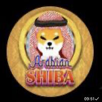 ARABIAN SHIBA