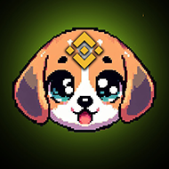 BNBPIXIE