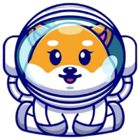 CosmoFloki