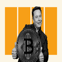 ELON CURRENCY
