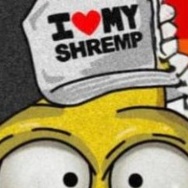 Shrempin CTO