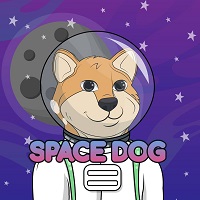 SPACE DOG