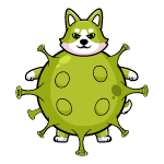 Covid Inu