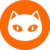 Ninsneko