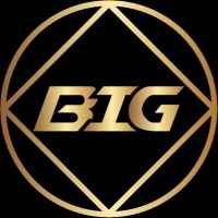 BIG COIN