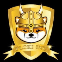 BNB FLOKI INU
