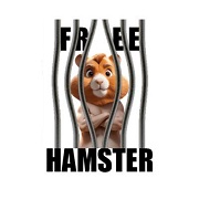FREE HAMSTER