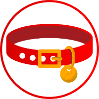 DOG COLLAR