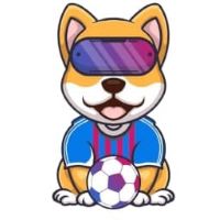 MetaFootball