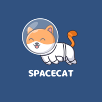 SPACE CAT