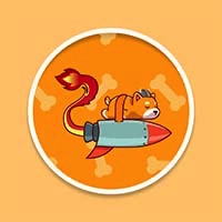 FLOKIDRAGON